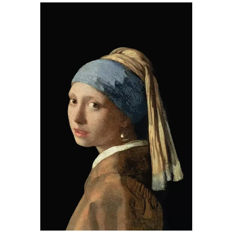girl with a pearl earring johannes vermeer