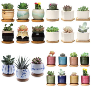 mini ceramic planter pots
