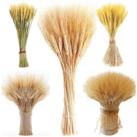 dried wheat bouquet