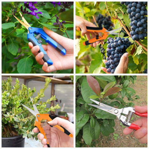 pruning snips