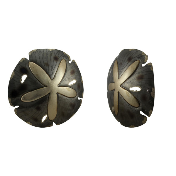 sand dollar wall decor