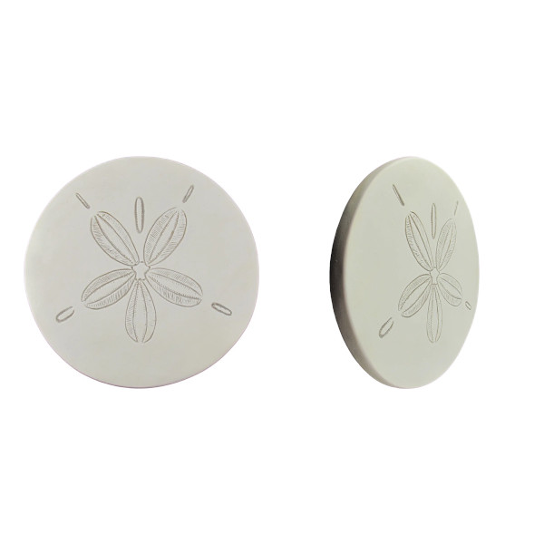 sand dollar wall decor