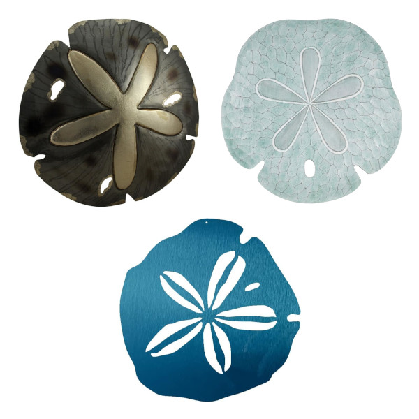 sand dollar wall decor